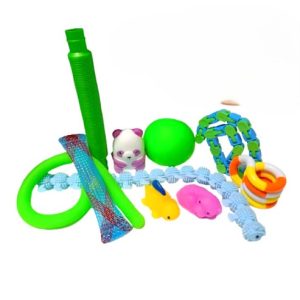 The Basic Sensory Toy Bundle (10 Piece)